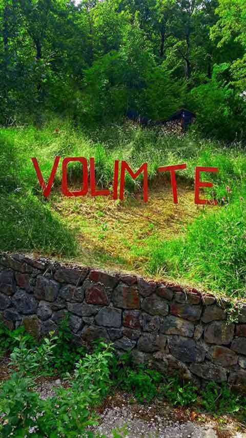 Citat